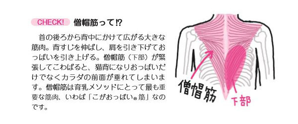 第二子からでも間に合う美乳づくり！ 「垂れない！ しぼまない！ ママになっても美おっぱい」実践編