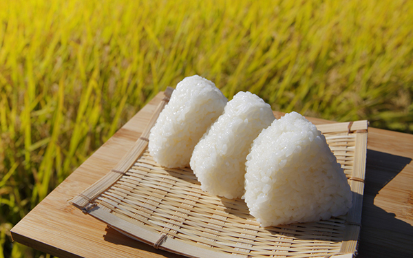 なぜジブリ飯はおいしそうなの？　思わずおなかが鳴るジブリ作品おさらい