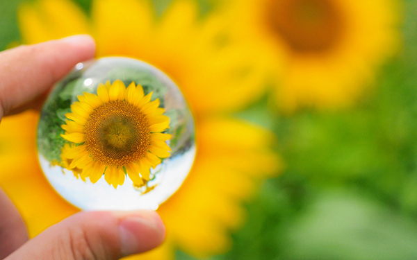 『愛のかたまり』だらけ20年史！ SMAP遺伝子を継ぐ唯一の弟キンキ