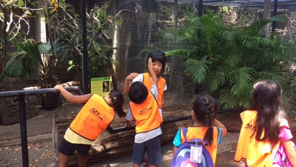 ハワイ・ホノルル動物園 予約殺到・サマーキャンプの見どころは？