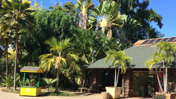 ハワイ・ホノルル動物園 予約殺到・サマーキャンプの見どころは？