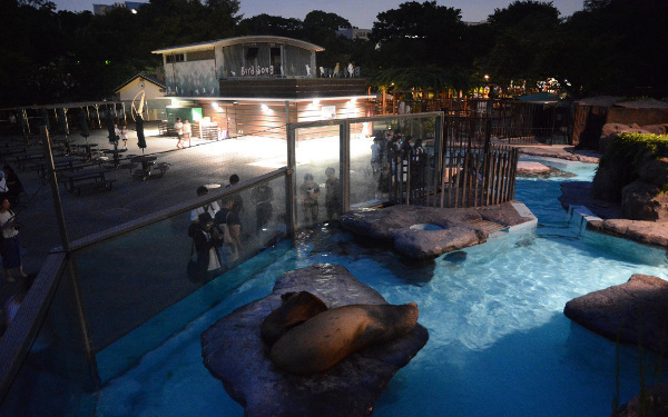 暗闇に光る目にギャー⁉　親子で夜学びのススメ　動物園＆水族館4選