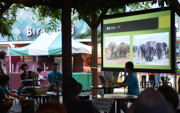 暗闇に光る目にギャー⁉　親子で夜学びのススメ　動物園＆水族館4選