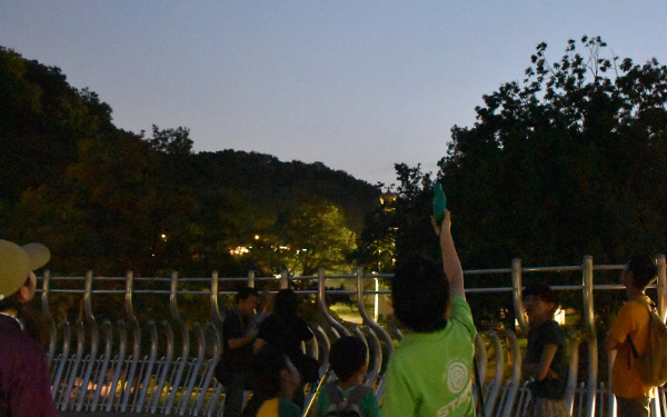 暗闇に光る目にギャー⁉　親子で夜学びのススメ　動物園＆水族館4選