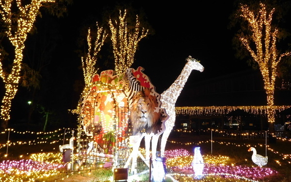 暗闇に光る目にギャー⁉　親子で夜学びのススメ　動物園＆水族館4選