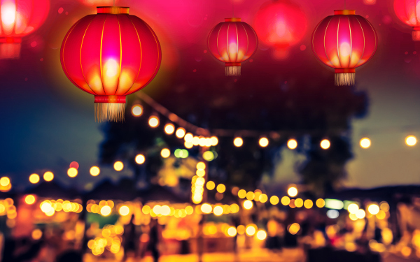 暗闇に光る目にギャー⁉　親子で夜学びのススメ　動物園＆水族館4選