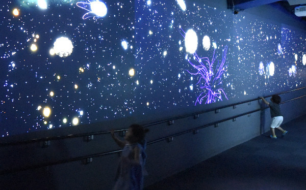 暗闇に光る目にギャー⁉　親子で夜学びのススメ　動物園＆水族館4選