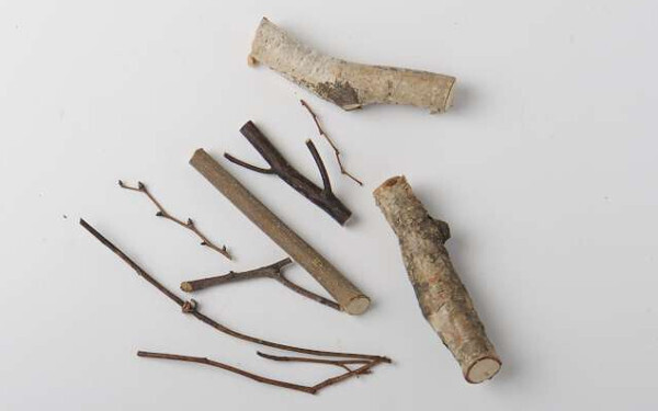 電車好きなら自由研究は「作り鉄」に挑戦！  自然素材で工作！