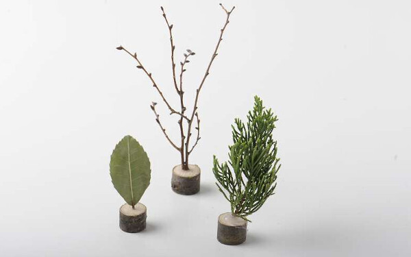 電車好きなら自由研究は「作り鉄」に挑戦！  自然素材で工作！