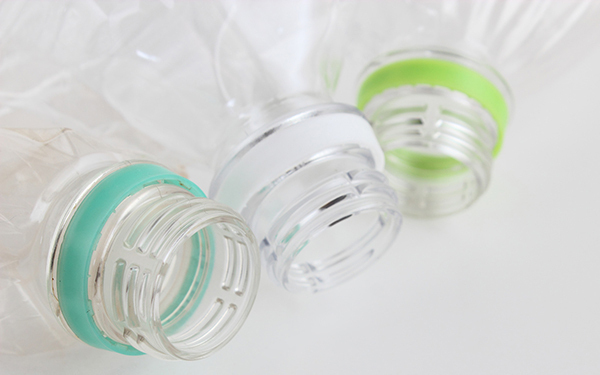 学校から持ち帰った朝顔が枯れてしまう！　旅行のとき水やりはどうする？