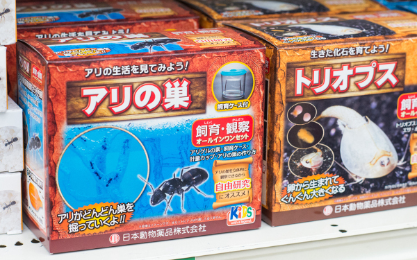 自由研究の味方・東急ハンズに聞く！　夏休みの自由工作＆研究おすすめ「神７」