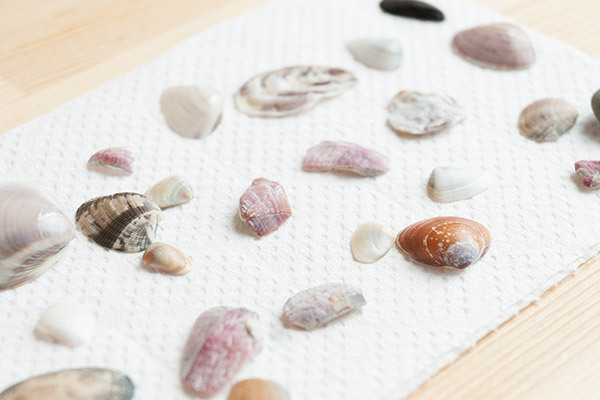 夏の思い出を残そう！　2ステップでできる貝がらフォトフレーム【おうちで季節イベント お手軽アートレシピ Vol.20】