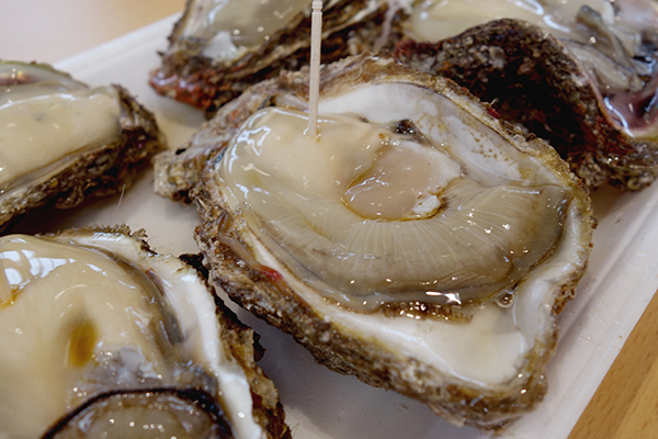 旅をしながらおいしい食育体験を！　ユネスコ食文化創造都市・鶴岡をめぐる親子旅へ