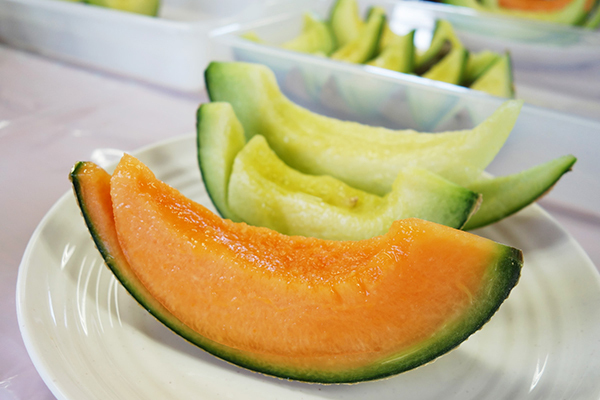 旅をしながらおいしい食育体験を！　ユネスコ食文化創造都市・鶴岡をめぐる親子旅へ