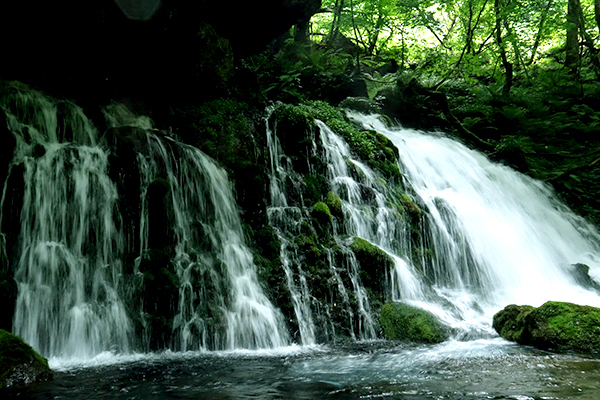 旅をしながらおいしい食育体験を！　ユネスコ食文化創造都市・鶴岡をめぐる親子旅へ