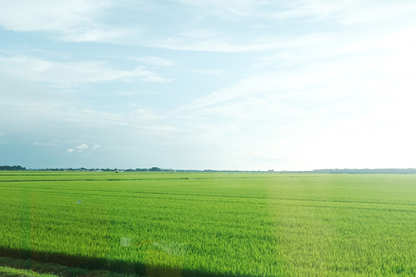 旅をしながらおいしい食育体験を！　ユネスコ食文化創造都市・鶴岡をめぐる親子旅へ