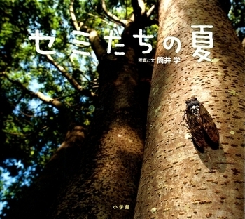 夏の最後の宿題に役立つ！　「夏の昆虫」絵本【親子で楽しむ絵本の時間】 第15回