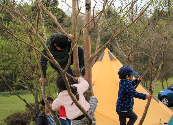 先輩ママキャンパーが証言するキャンプのメリット＆デメリット