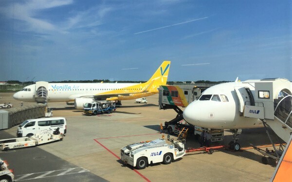 国内ビーチリゾートの穴場「奄美大島」おすすめのポイント！