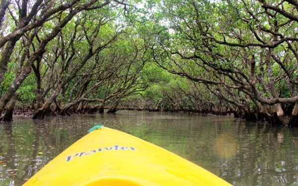 国内ビーチリゾートの穴場「奄美大島」おすすめのポイント！