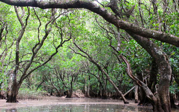 海嫌いを克服！　水に顔もつけられなかった息子がネイチャー男子に急成長【5歳息子と行った「奄美大島4泊5日」家族旅vol.2】