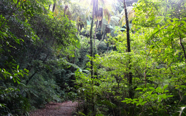 海嫌いを克服！　水に顔もつけられなかった息子がネイチャー男子に急成長【5歳息子と行った「奄美大島4泊5日」家族旅vol.2】