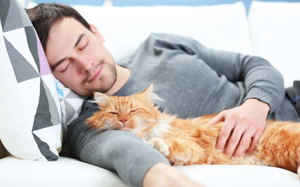本当は褒められ待ち？ 猫系夫を喜ばせるポイント