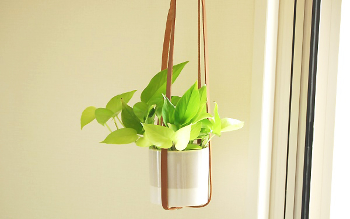 革でつくる簡単ハンギングが超おしゃれ インスタ映え抜群のインテリアに ウーマンエキサイト