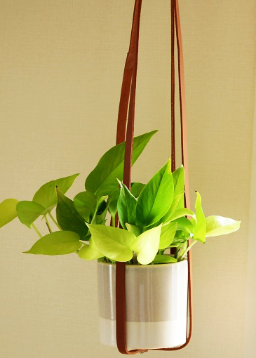 革でつくる簡単ハンギングが超おしゃれ！　インスタ映え抜群のインテリアに