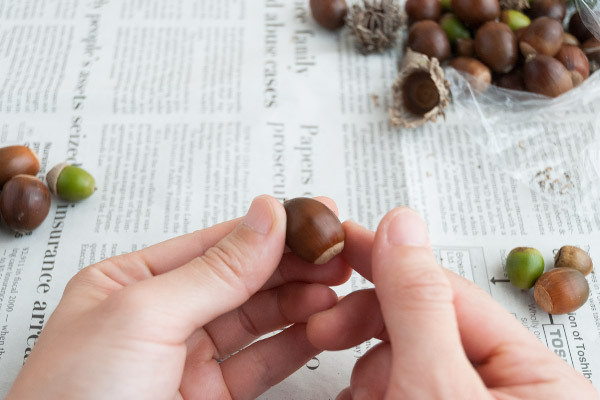 集めて飾ろう！　キラキラどんぐりインテリア【おうちで季節イベント お手軽アートレシピ Vol.23】