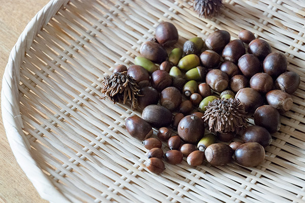 集めて飾ろう！　キラキラどんぐりインテリア【おうちで季節イベント お手軽アートレシピ Vol.23】