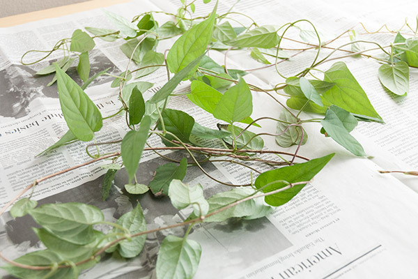 拾った木の実でかわいくできちゃう！　ナチュラルリースとダンボールのミニリース【おうちで季節イベント お手軽アートレシピ Vol.25】