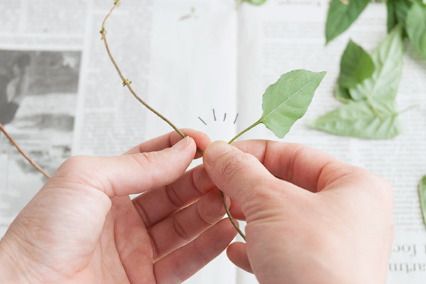 拾った木の実でかわいくできちゃう！　ナチュラルリースとダンボールのミニリース【おうちで季節イベント お手軽アートレシピ Vol.25】