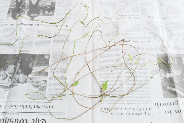 拾った木の実でかわいくできちゃう！　ナチュラルリースとダンボールのミニリース【おうちで季節イベント お手軽アートレシピ Vol.25】