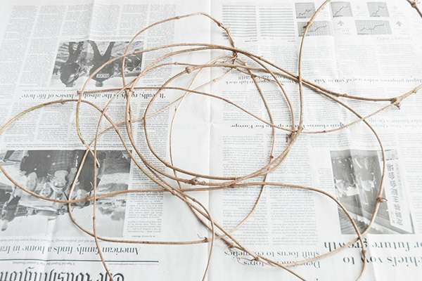 拾った木の実でかわいくできちゃう！　ナチュラルリースとダンボールのミニリース【おうちで季節イベント お手軽アートレシピ Vol.25】