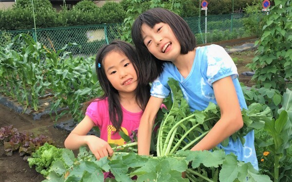 家族で体験農園をやってみた！　虫嫌い、植物枯らすママが正直に打ち明ける、体験農園のメリット・デメリット