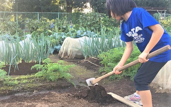 家族で体験農園をやってみた！　虫嫌い、植物枯らすママが正直に打ち明ける、体験農園のメリット・デメリット