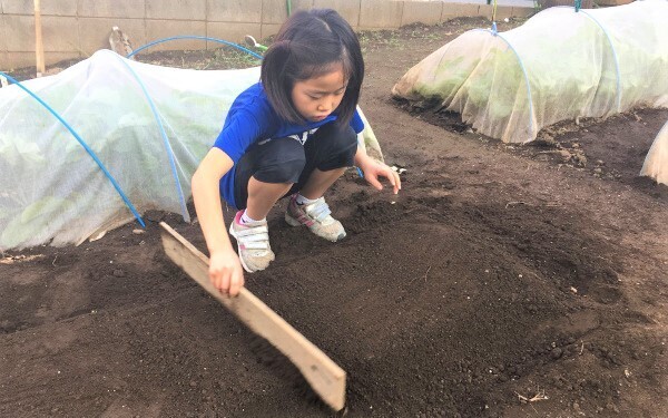 家族で体験農園をやってみた！　虫嫌い、植物枯らすママが正直に打ち明ける、体験農園のメリット・デメリット