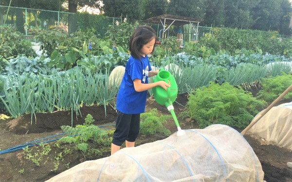 家族で体験農園をやってみた！　虫嫌い、植物枯らすママが正直に打ち明ける、体験農園のメリット・デメリット