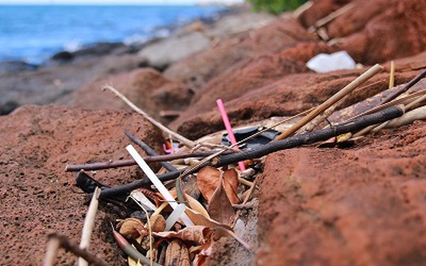 【冬のハワイ子連れ旅】旅行者以上ロコ未満、子どもとスペシャルなハワイ体験3選