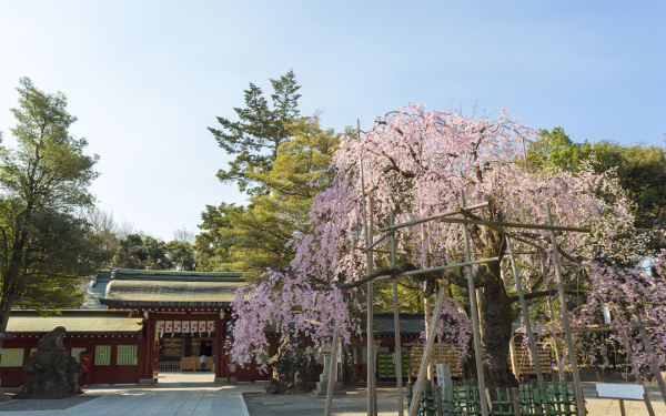 2018初詣におすすめの神社ベスト 5【東京＋関東近県】