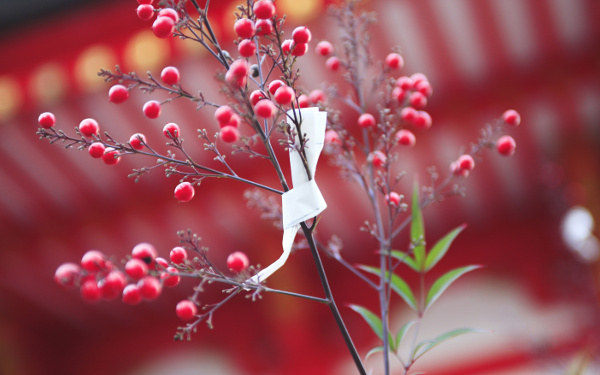 2018初詣におすすめの神社ベスト 5【東京＋関東近県】