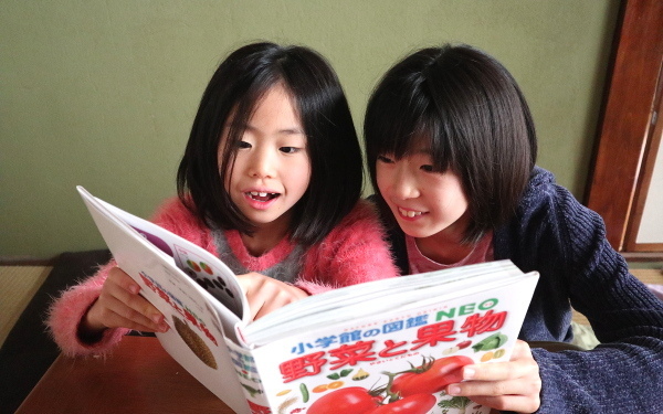 天才脳に育てるために必要なのは「図鑑」?! 好奇心を育てて広げて伸ばして　