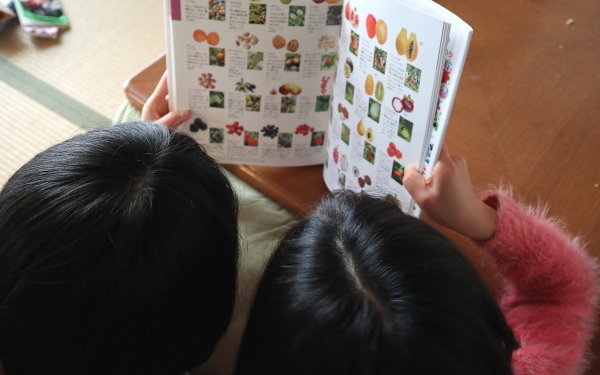 天才脳に育てるために必要なのは「図鑑」?! 好奇心を育てて広げて伸ばして　