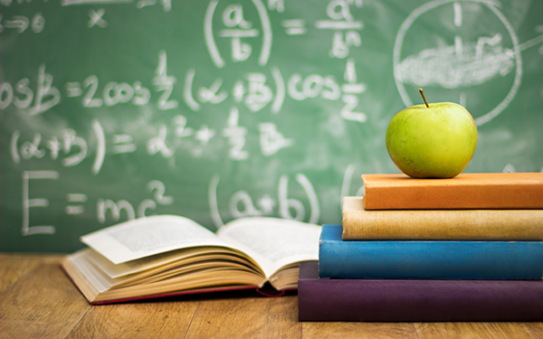 香川照之の昆虫すごいぜ！ 図鑑以上と話題の番組内容まとめ