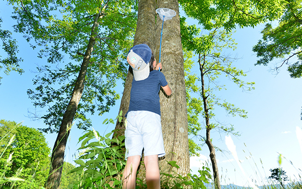香川照之の昆虫すごいぜ！ 図鑑以上と話題の番組内容まとめ