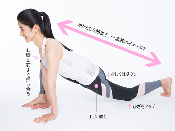 ダイエットは「お尻」が決め手！ 4週間で脂肪を落とす話題のエクササイズ【おしりリセットダイエットvol.1】