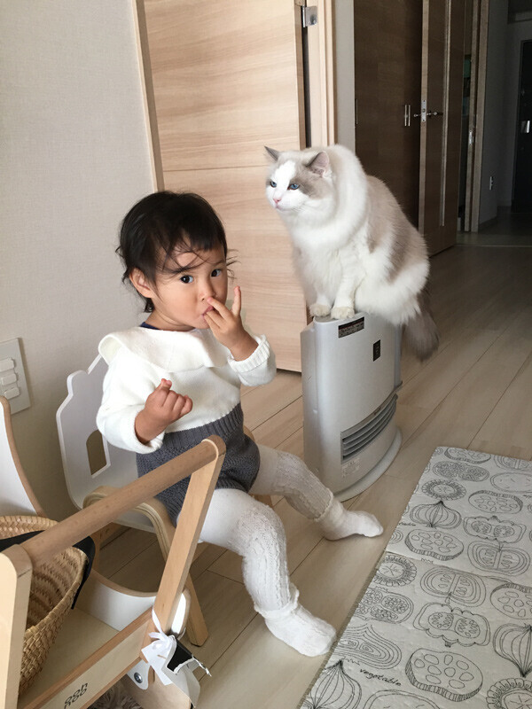 【いぬねこ うちのこ。】フガちゃん（1歳）と猫のムーム ／ムームママさん