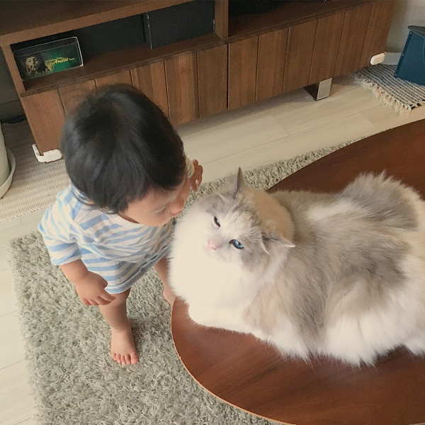 【いぬねこ うちのこ。】フガちゃん（1歳）と猫のムーム ／ムームママさん