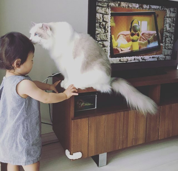 【いぬねこ うちのこ。】フガちゃん（1歳）と猫のムーム ／ムームママさん